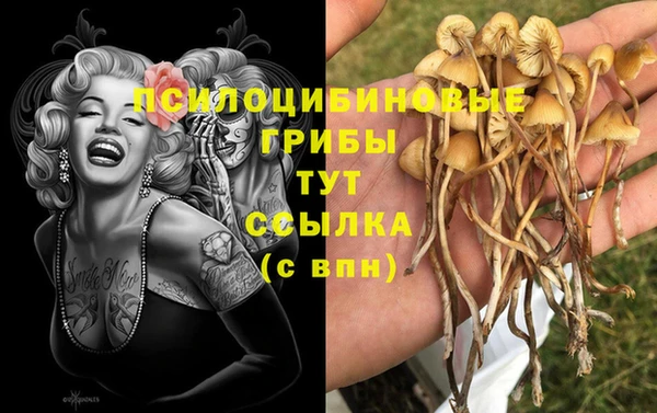 МДМА Алексин