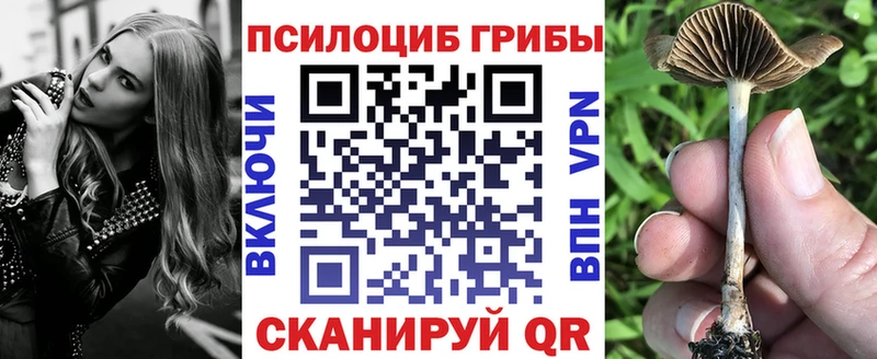 Псилоцибиновые грибы Magic Shrooms Нарьян-Мар
