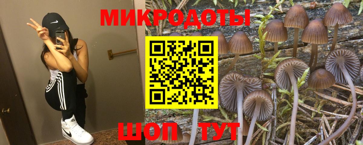 Нарьян-Мар  купить наркотики сайты  Вход с VPN  Псилоцибиновые грибы прущие грибы 